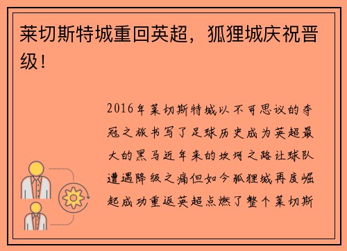 莱切斯特城重回英超，狐狸城庆祝晋级！