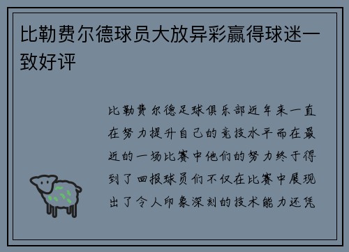 比勒费尔德球员大放异彩赢得球迷一致好评