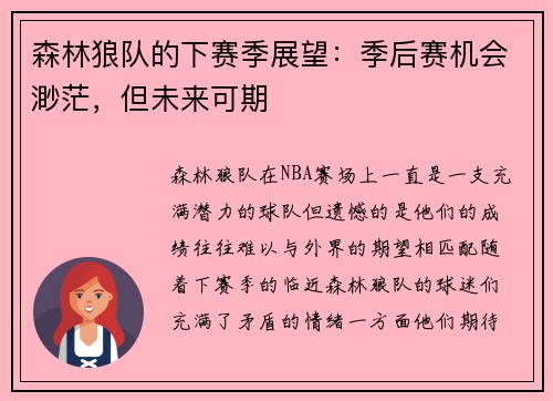 森林狼队的下赛季展望：季后赛机会渺茫，但未来可期